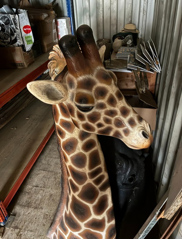 Giraffe Head Prop For Sale Giraffe Head Prop For Sale