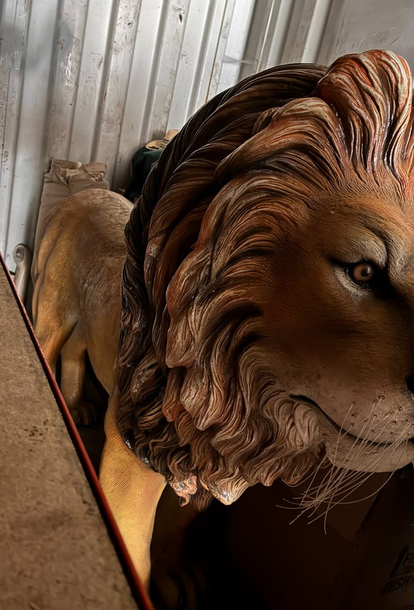 Lion Prop For Sale Lion Prop For Sale