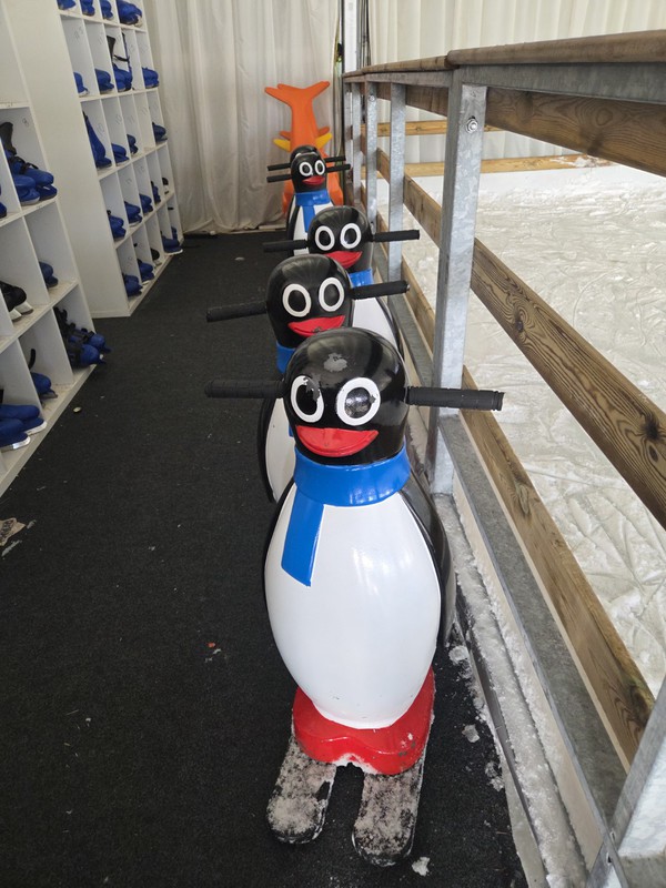 seal / dolphin skating aids. seal / dolphin skating aids.