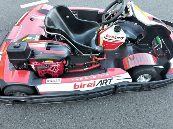 Birel art N35