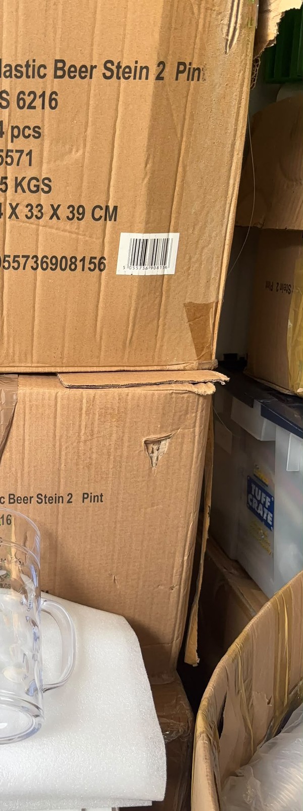 Plastic Steins