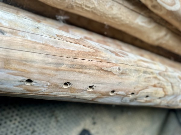 wooden structure wooden structure