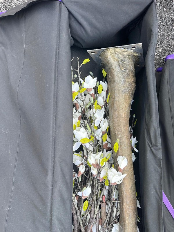 Used 5x 3m Artificial Magnolia Trees Used 5x 3m Artificial Magnolia Trees