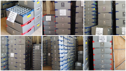 Correx storage boxes for glasses