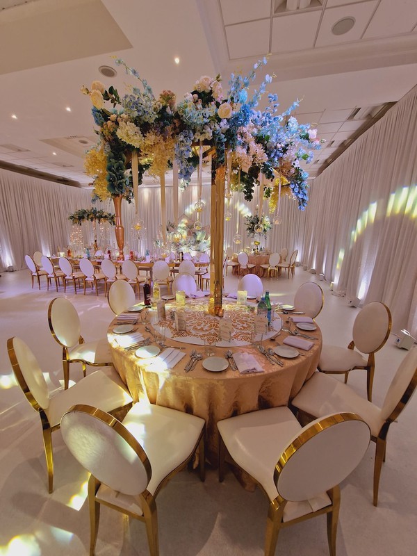 Dior Event Chairs White and Gold Stainless Steel