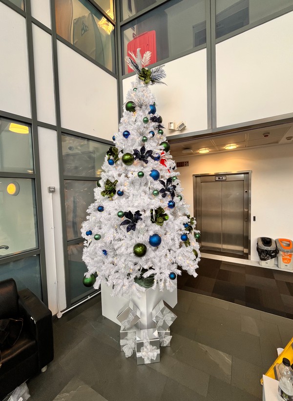 Used 10ft Pre-lit White Bianca Pine Tree Used 10ft Pre-lit White Bianca Pine Tree