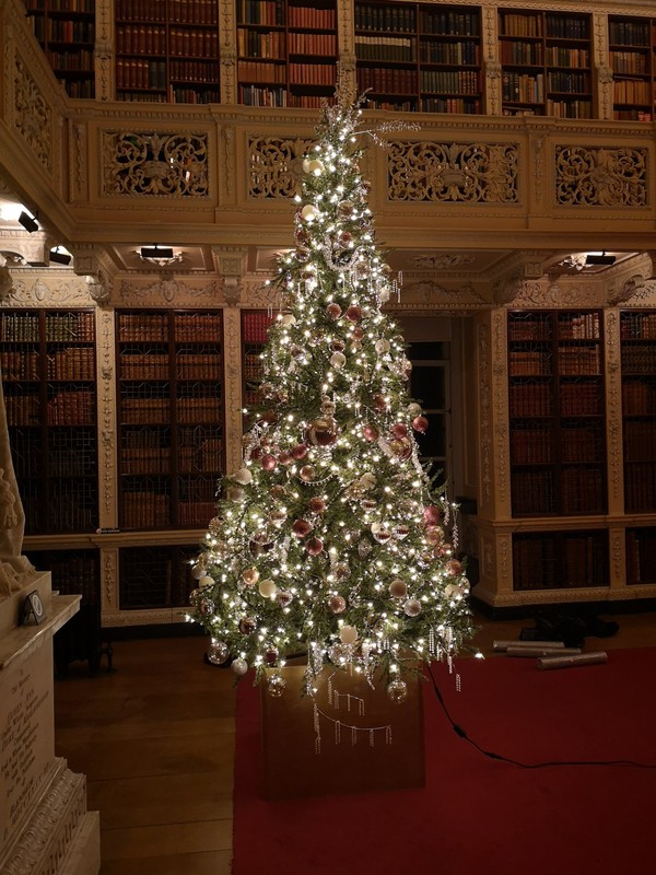 7ft And 9ft Artificial Christmas Trees 7ft And 9ft Artificial Christmas Trees