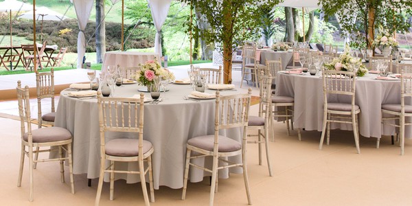 Cordelia Grace Wedding / Banqueting Chair Cordelia Grace Wedding / Banqueting Chair