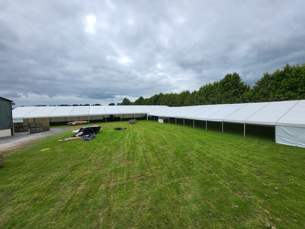 For sale - Event marquee business Kildare Ireland For sale - Event marquee business Kildare Ireland