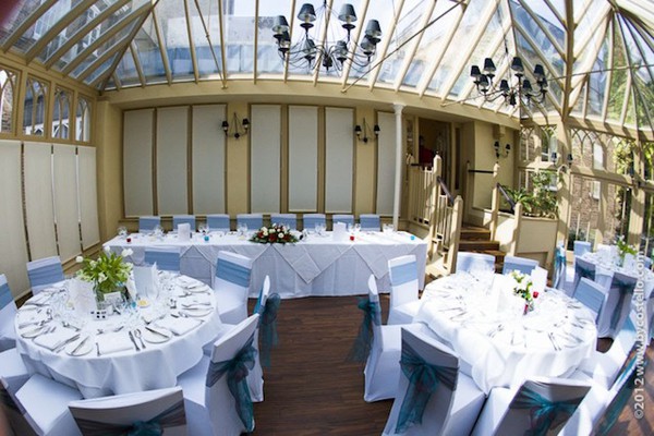 Chair Cover Business Stock