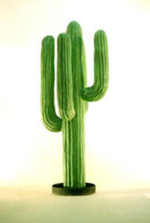 Catcus prop Catcus prop
