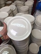 White dudson plates