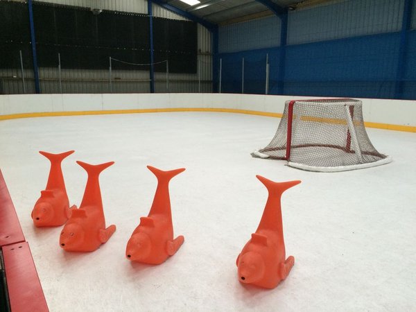 EZ GLIDE 350 Synthetic Ice Rink