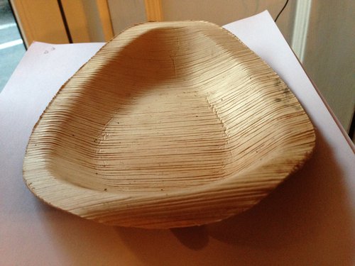 Palm Leaf Disposable Plates