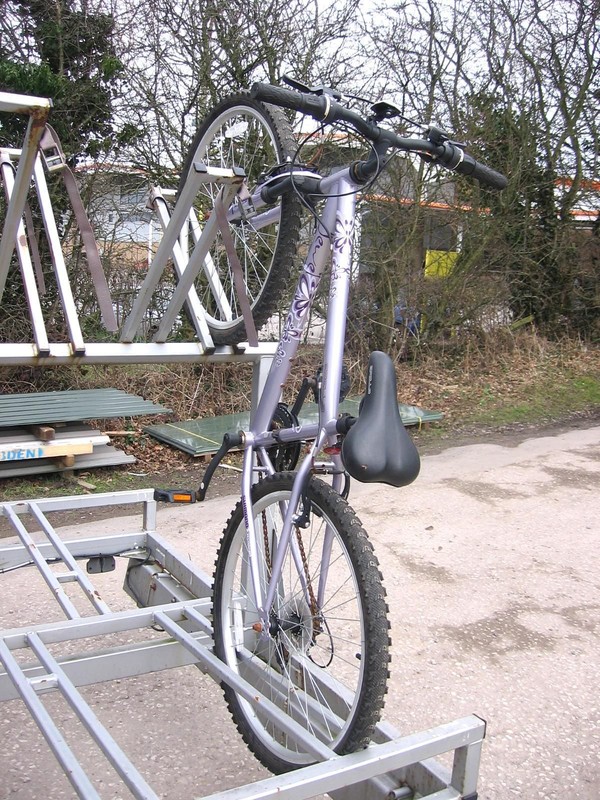 Bike trailer with cycle racks