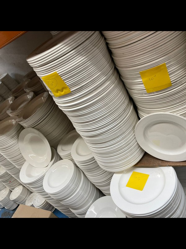 Used dudson plates