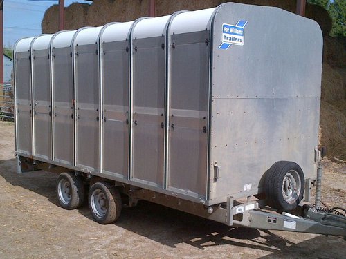 Ifor Williams LM 146 Livestock Trailer