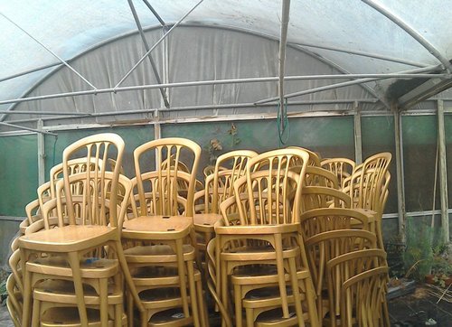Gold banqueting chairs Gold banqueting chairs