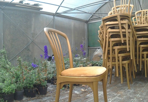 Plastic / resin banqueting chairs