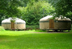 Glamping Yurt for sale