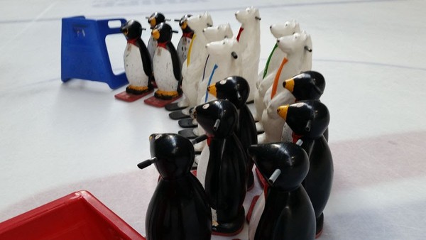 10x Penguins Skating Aids