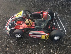 Used Wright Kart for sale