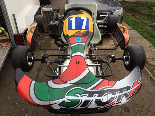 2010 Rotax Storm Junior Max Go Kart 2010 Rotax Storm Junior Max Go Kart