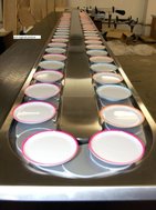 Sushi Conveyor Belt Foe Sale