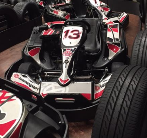 Biz NG1 200cc Adult Karts Biz NG1 200cc Adult Karts