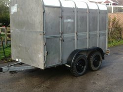Ifor Williams live stock trailer