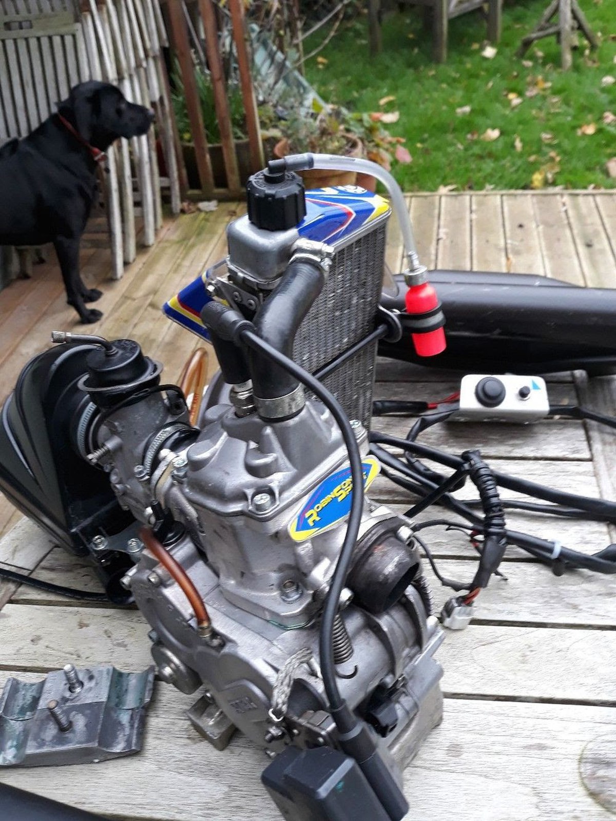 SecondhandKarting.co.uk Complete Kart Engines Rotax Mini / Junior