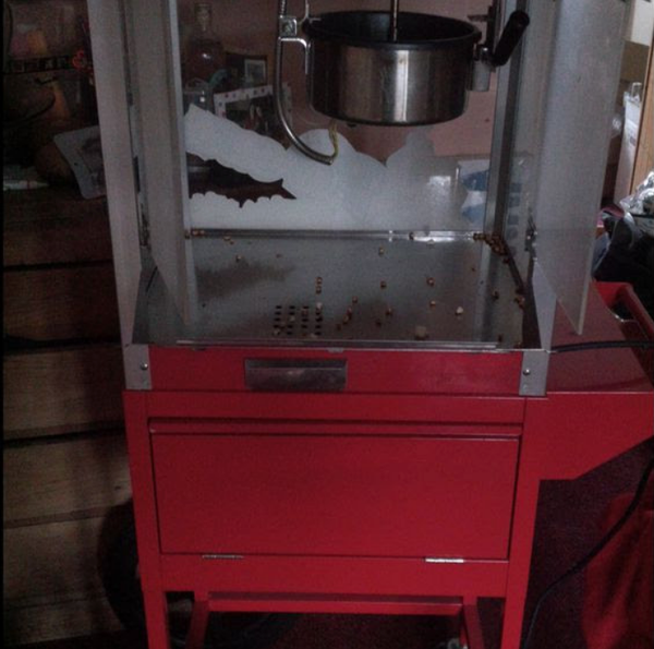 Popcorn cart for sale