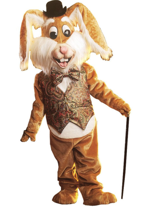 Rabbit costume for sale Rabbit costume for sale