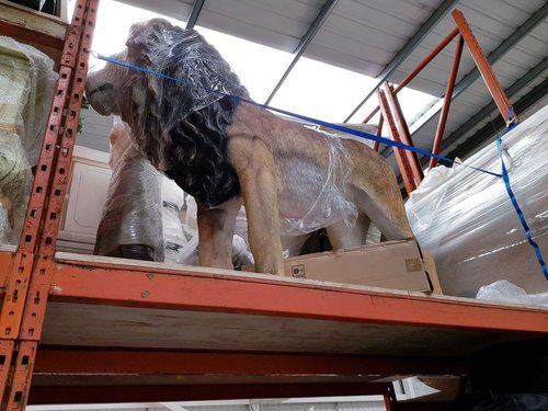 Lion prop for sale Lion prop for sale