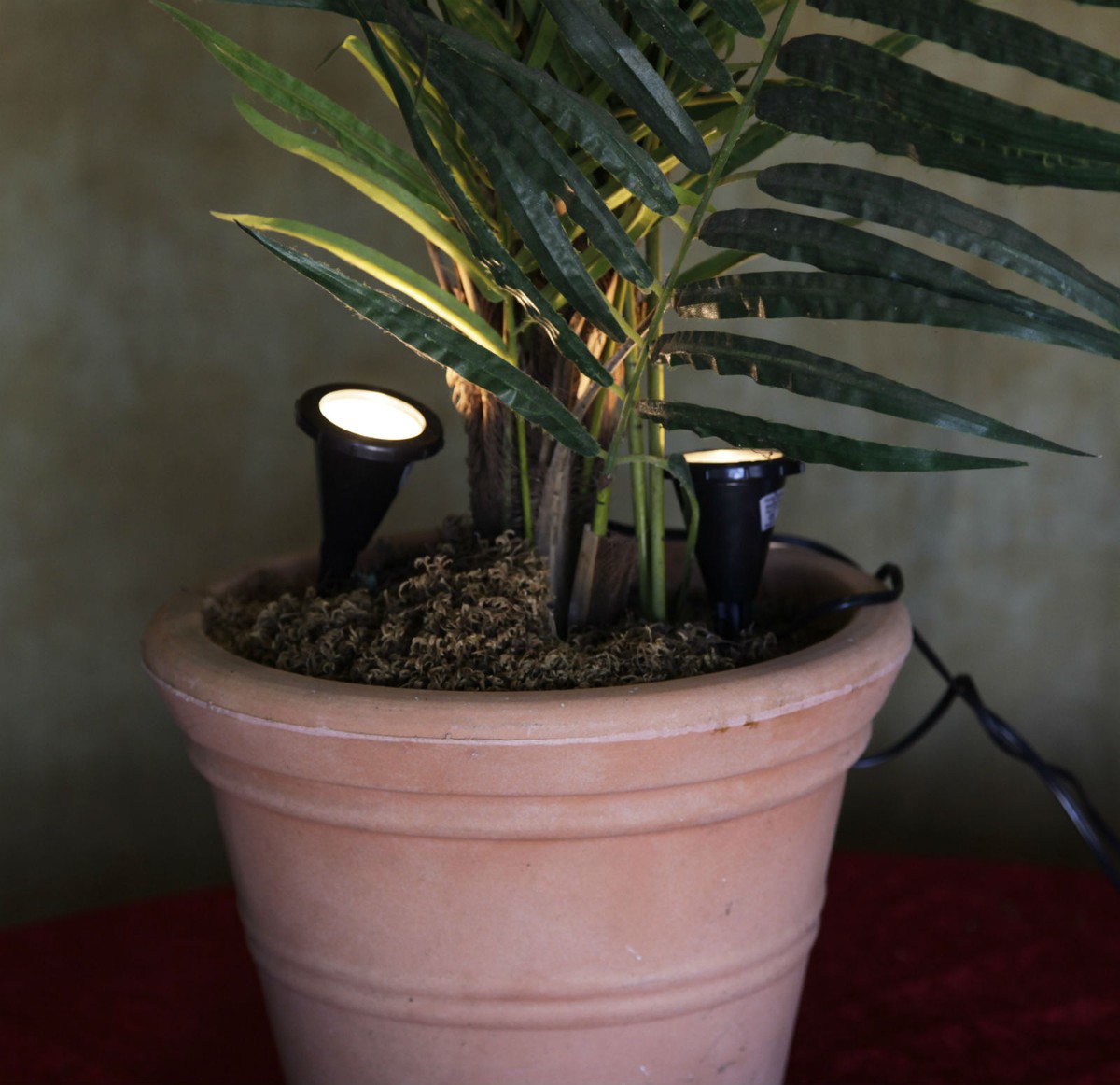 Plant uplight outlet indoor