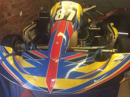 2016 rotax go kart 2016 rotax go kart