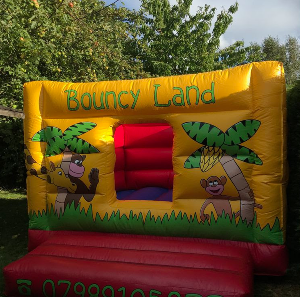 Bouncy castle for sale