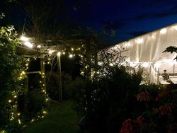 Fairy lights for sale