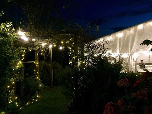 Fairy lights for sale Fairy lights for sale