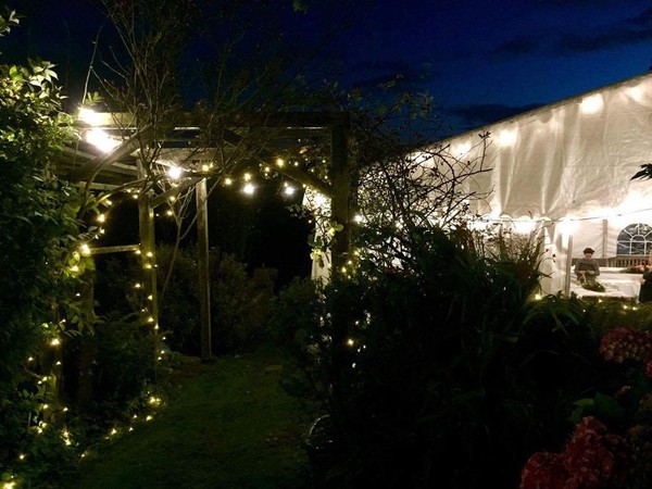 Festoon lights for sale