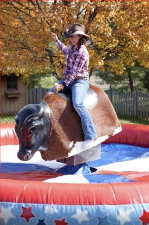 Riding bull for sale Riding bull for sale