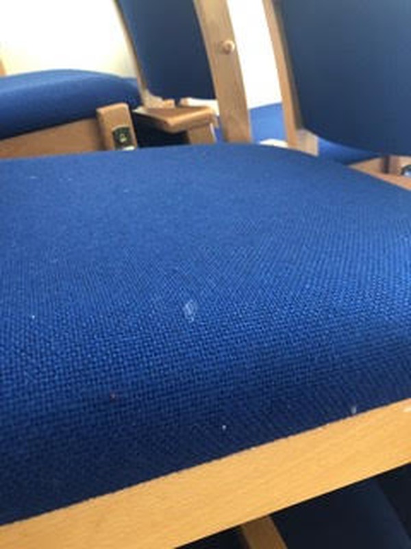 Blue seat pads