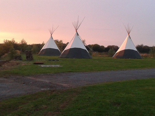 Tipi Glamping Business