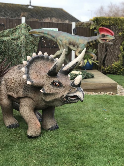 Outside Dinosaur Props Outside Dinosaur Props