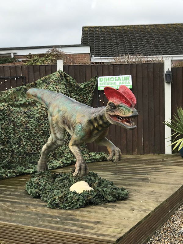 Outdoor Dinosaur Props