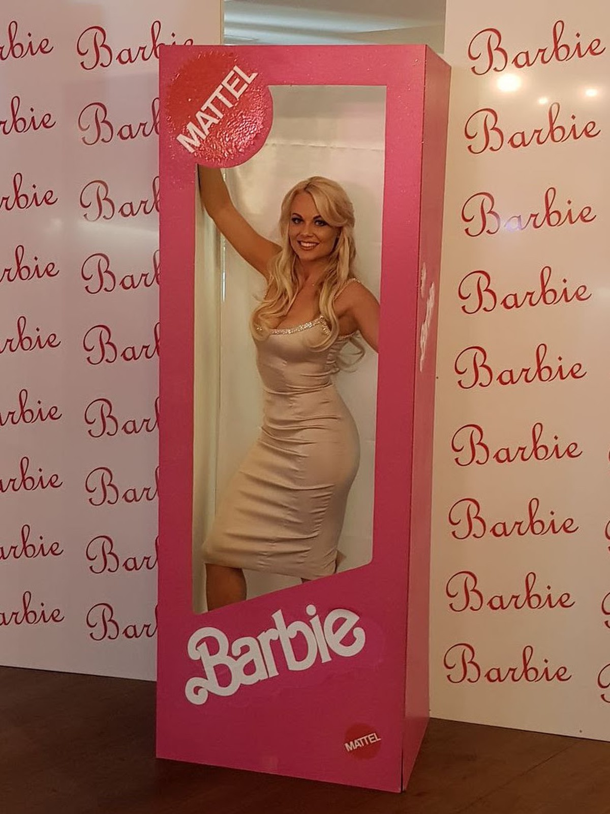 barbie barbie box