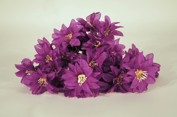 Purple flower bunch