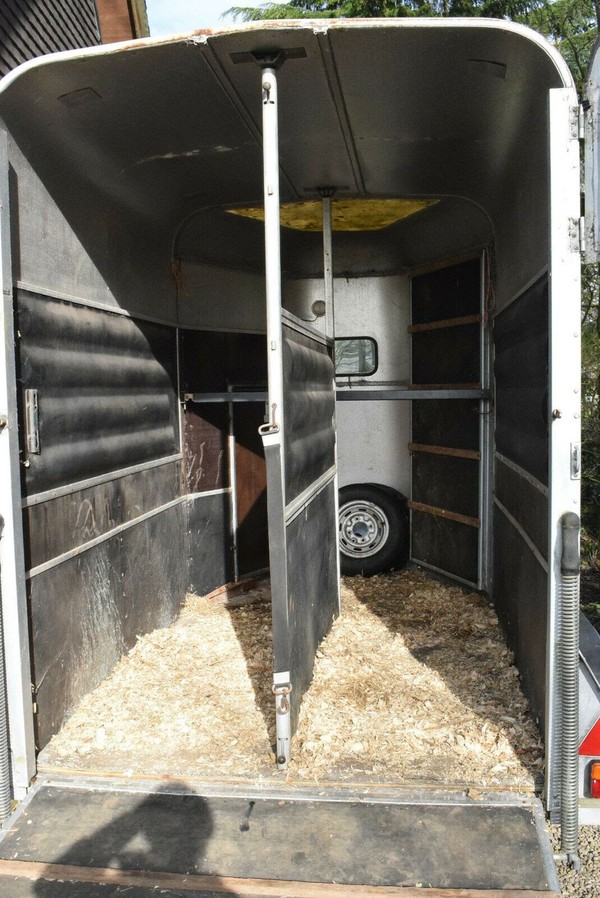 Ifor Wiiliams Horse box for sale