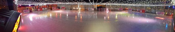 Real Ice Rink for sale