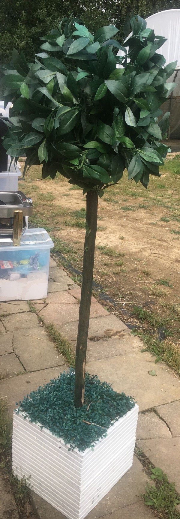 Secondhand Prop Shop Artificial Plants 10x Potted Bay Trees West